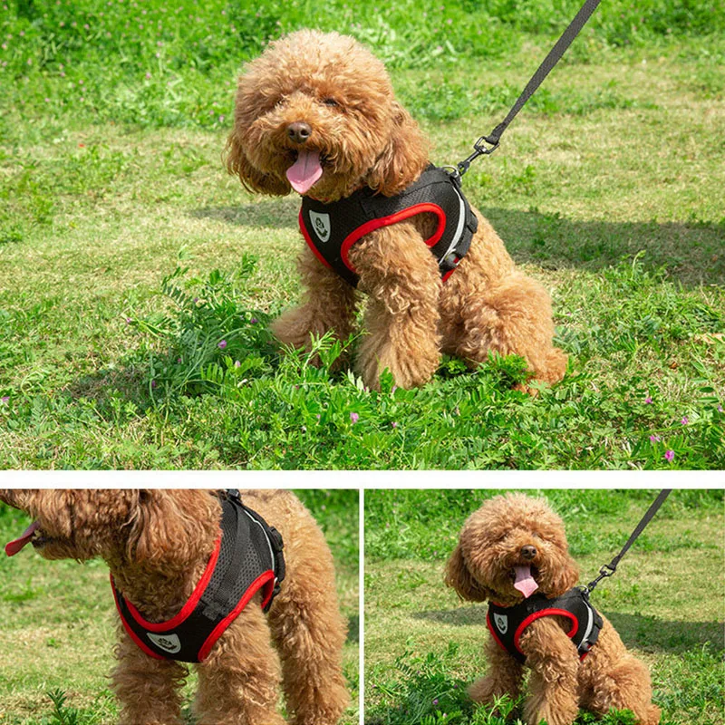 Conjunto de chaleco y arnés para perro, correa reflectante para el pecho para cachorro y gato, arnés para perro pequeño y mediano, correa para caminar para Chihuahua y Yorkies - imagen 5