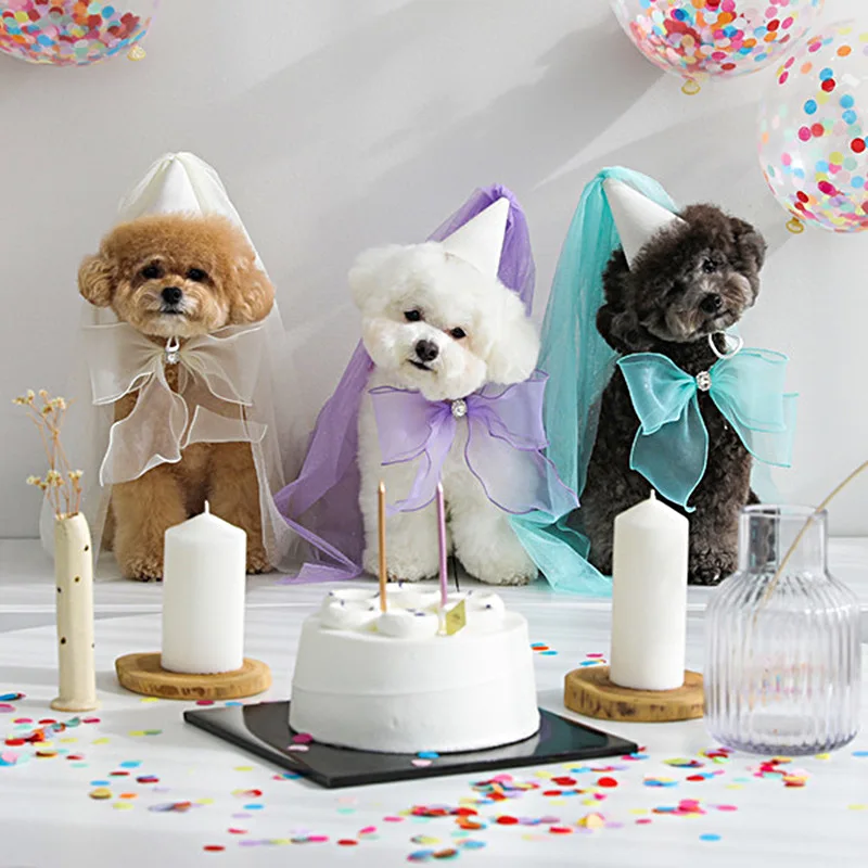 Lindo sombrero de fiesta de cumpleaños para perro, sombrero de boda, toalla de Saliva con lazo, bufanda triangular de peluche, babero de bolsillo, joyería para perro