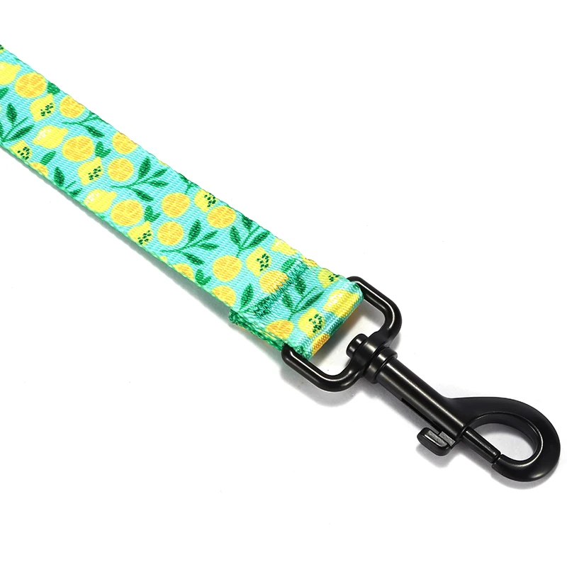 PLATTCO correa de perro de nailon de imitación suave con tecnología de limón con impresión en color personalizada duradera para perros pequeños, medianos y grandes, 5 tamaños PDL329 - imagen 3