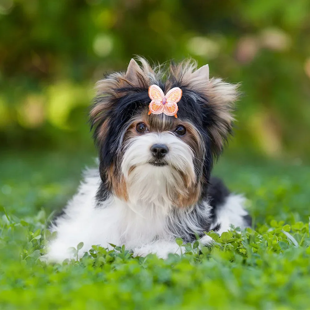 Lazos decorativos para perros pequeños – Estilo mariposa - imagen 4