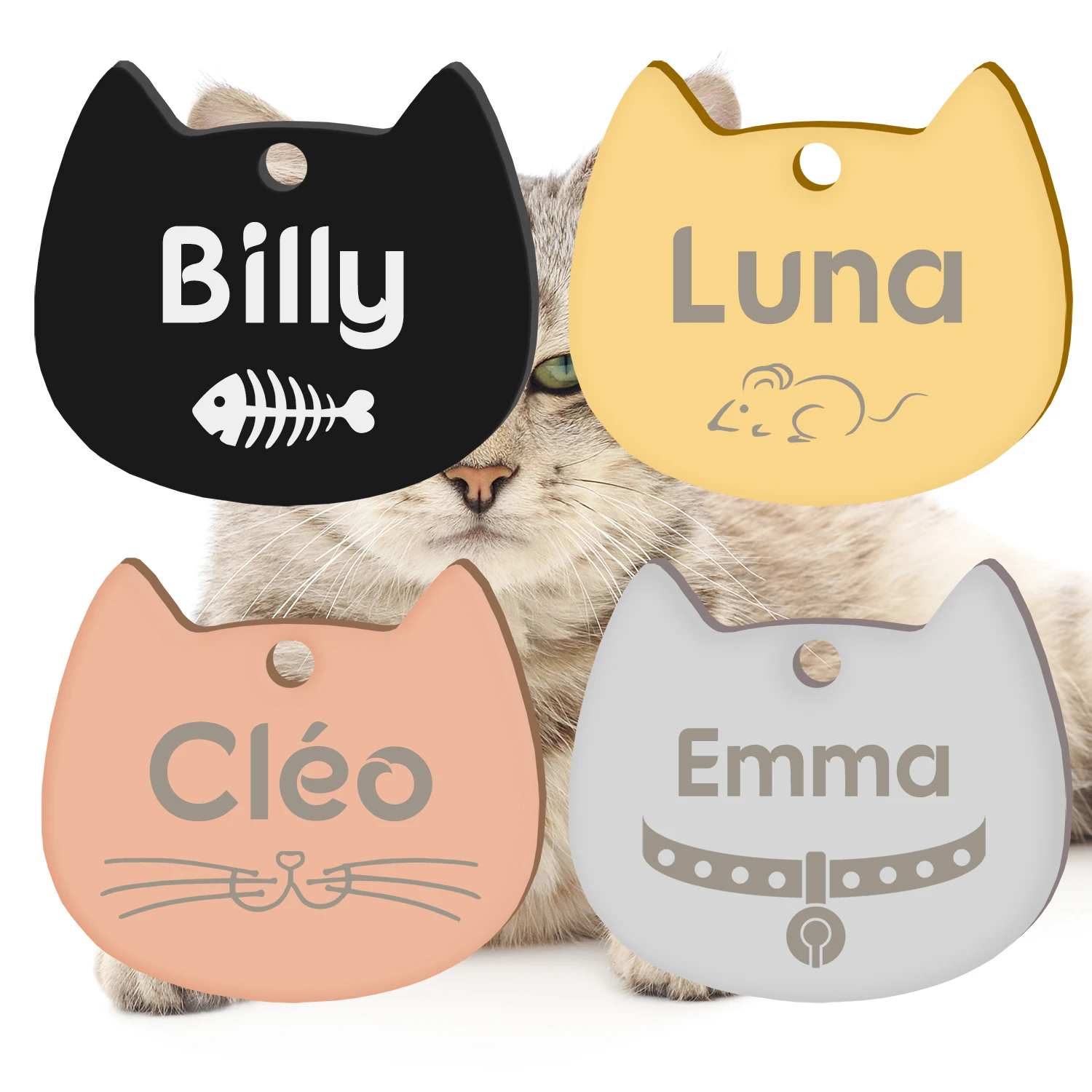 Etiquetas de identificación para gatos y perros en acero inoxidable - imagen 3