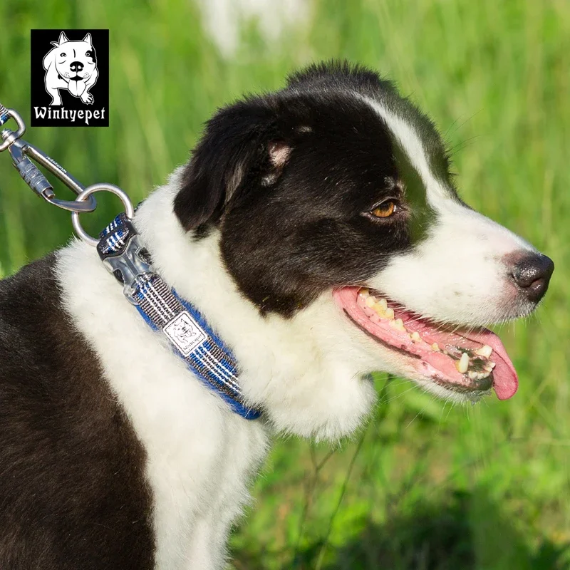 Winhypet-Collar acolchado cómodo para mascotas, hebilla para perros, sin tirar, accesorios para caminar, resistente a las explosiones - imagen 5