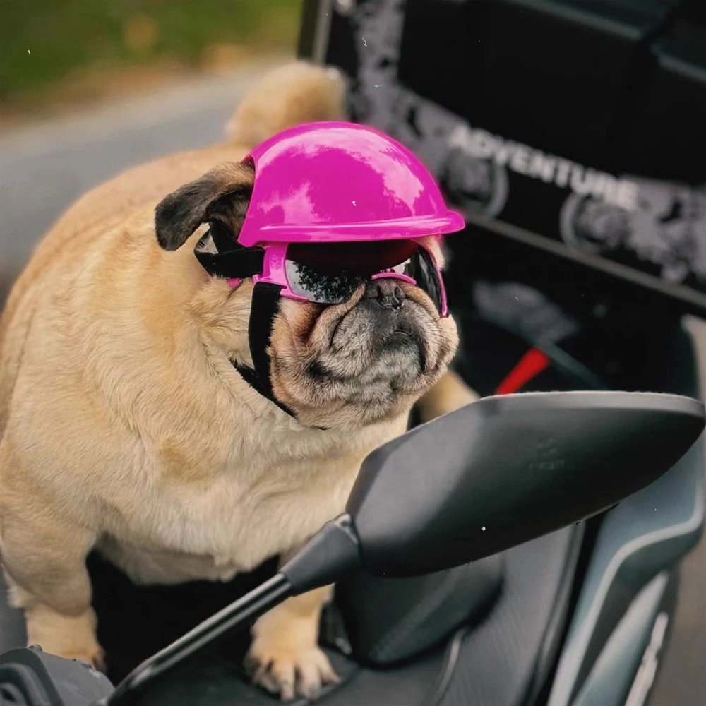 หมวกกันน็อคสุนัข 2 ชิ้นและแมลงปอไม้ไผ่/แว่นตาอุปกรณ์เสริมสําหรับสัตว์เลี้ยงหมวกกันน็อคสุนัขแบบปรับได้สําหรับสุนัขขนาดกลางขนาดเล็กขี่กลางแจ้ง - imagen 5