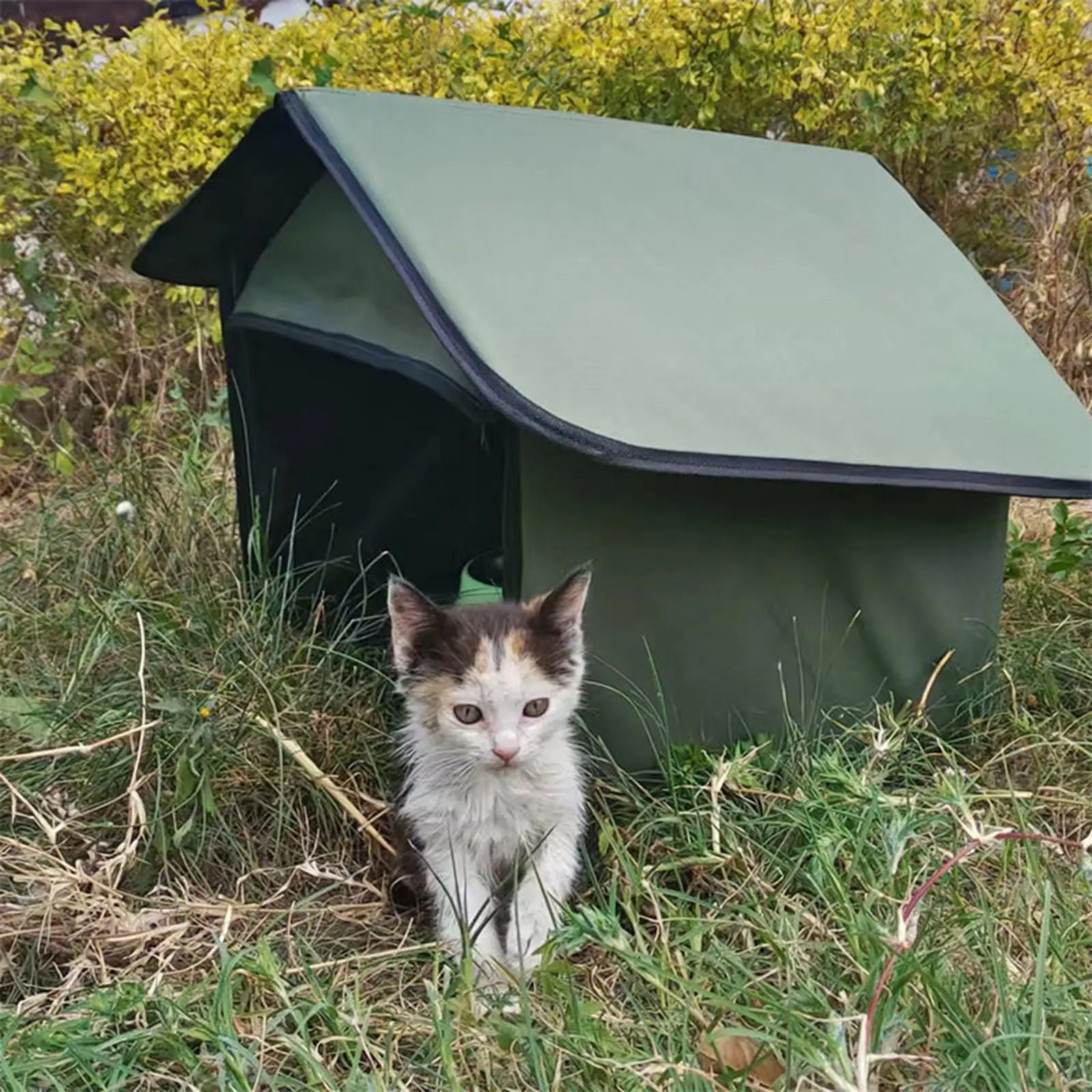 Stray Cat Shelter Pet Supplies Windproof Four Seasons Waterproof Pet Tent