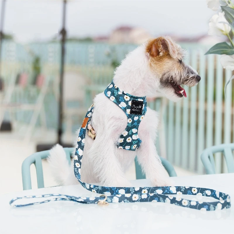 Arnés y Correa para Perros Suave Ajustable de Algodón Estilo Chaleco Antitirones Cómodo para Perros Pequeños y Medianos con Hebilla de Aleación de Zinc Diseño de Moda - imagen 2