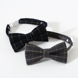 Collar con campana para gatos – ajustable y seguro