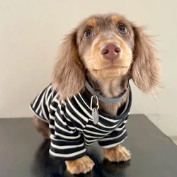 Chaleco a rayas para Dachshund – Cálido para primavera y otoño