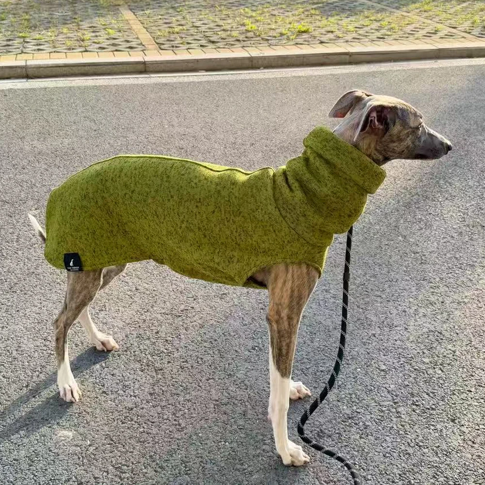 Sudadera gruesa de lana verde para perros Whippet en invierno, abrigo cálido con mangas de 2 patas y cuello alto para la cabeza para galgo italiano