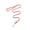 leash 2