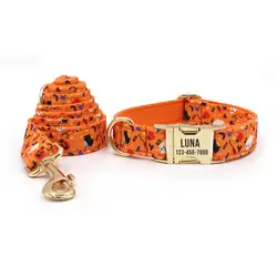 Collar y correa personalizados para cachorro – Grabado gratuito