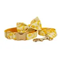 Bow Collar Leash Set