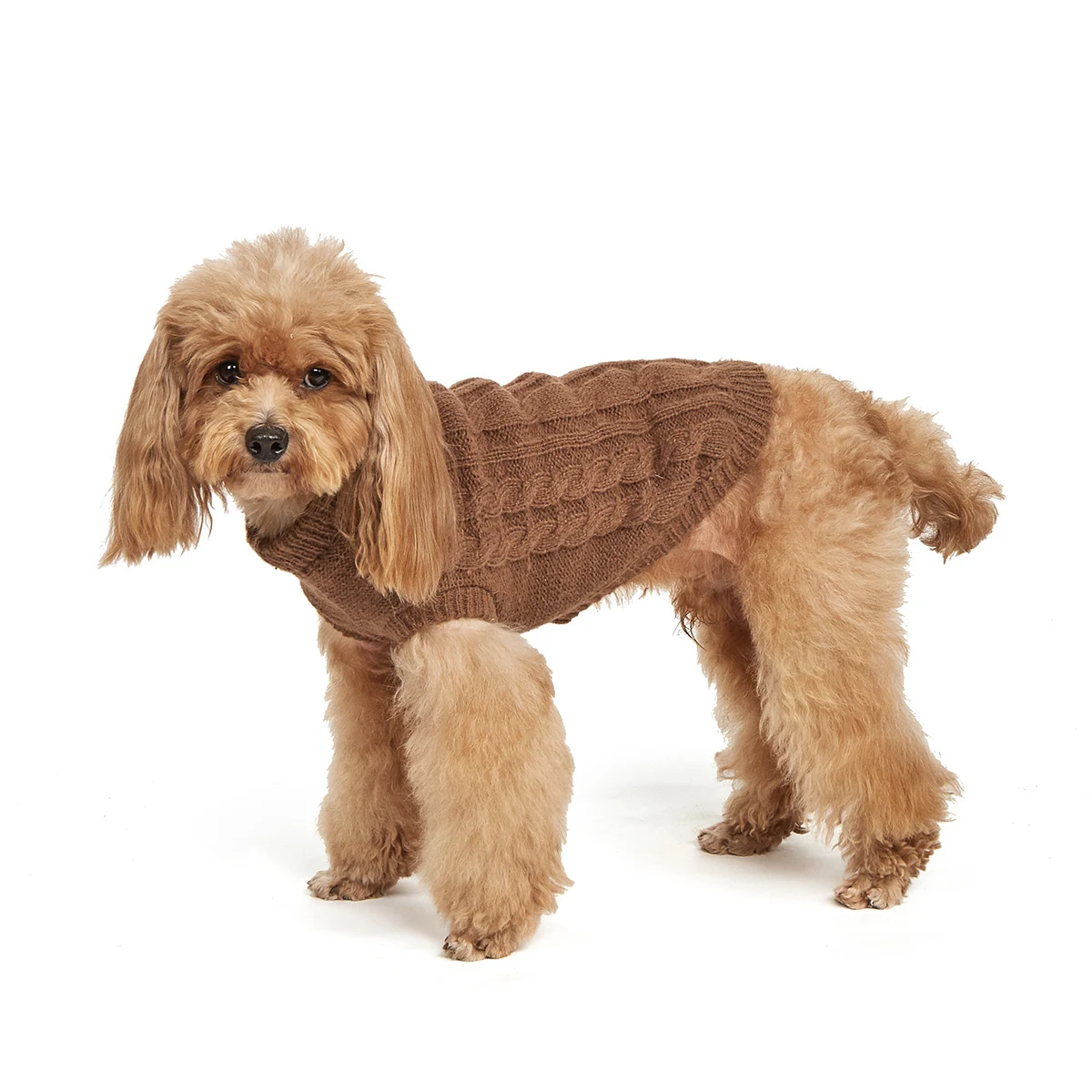 Jersey para perro pequeño, prendas de punto para clima frío, cuello alto clásico, ropa gruesa y cálida para Chihuahua, Bulldog, Dachshund, Pug - imagen 3