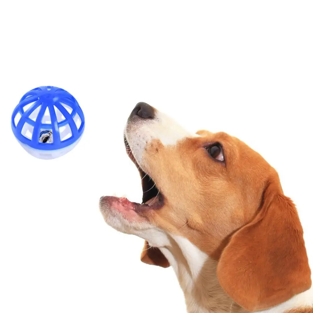 Un perro con la boca abierta y una bola azul en frente