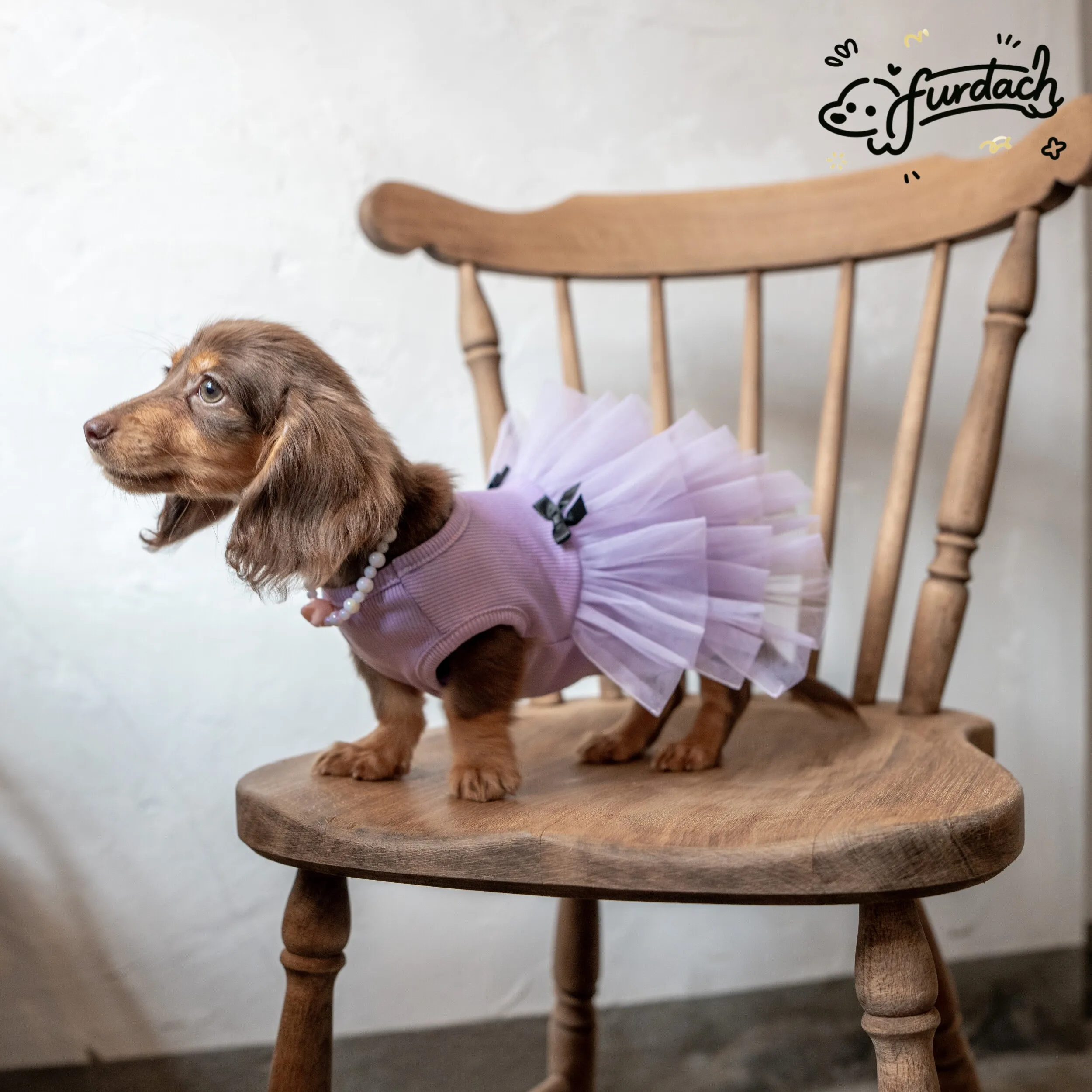 Detalle del vestido para perro salchicha