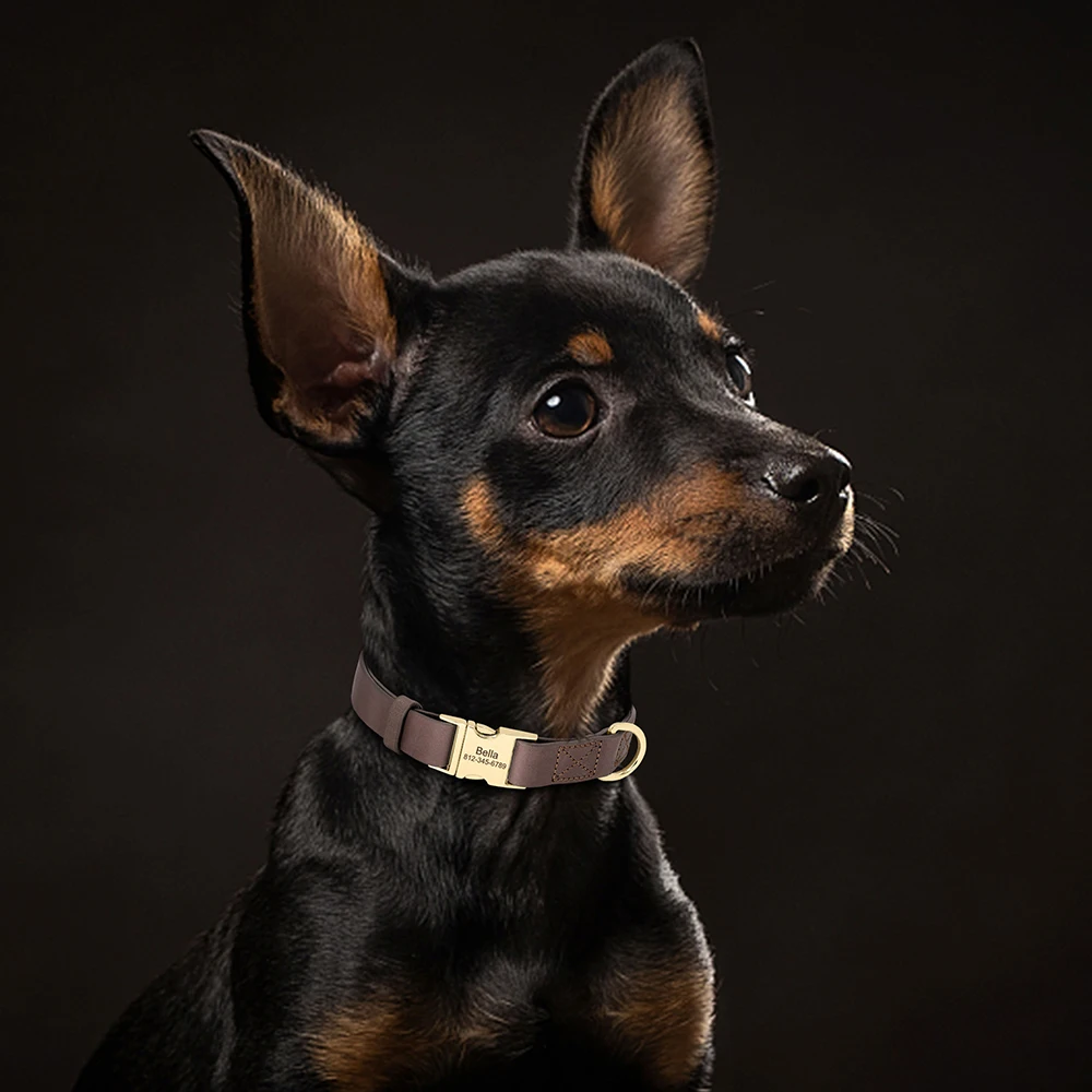 Collar de perro de cuero Real personalizado, collares de perro personalizados, Collar con hebilla con nombre de mascota grabado gratis para perros pequeños, medianos y grandes, Pug - imagen 5