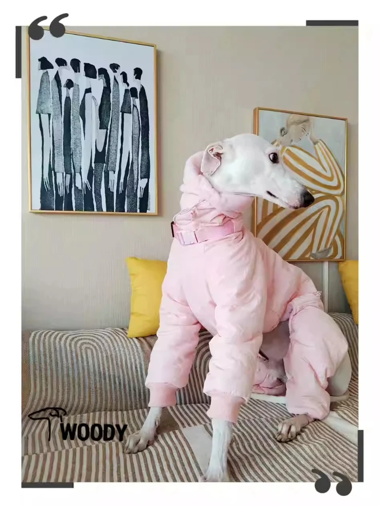 Ropa rosa de Whippet para niña, abrigo acolchado con cuello de tortuga para perro, Chaqueta de algodón ajustable cálida para galgo italiano, invierno - imagen 4