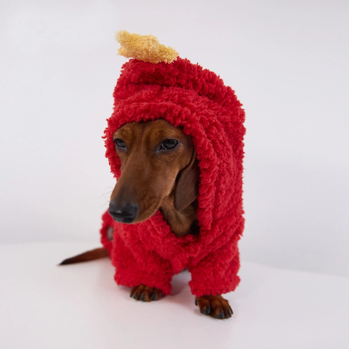 Suéter polar con capucha estrella para dachshund - imagen 5
