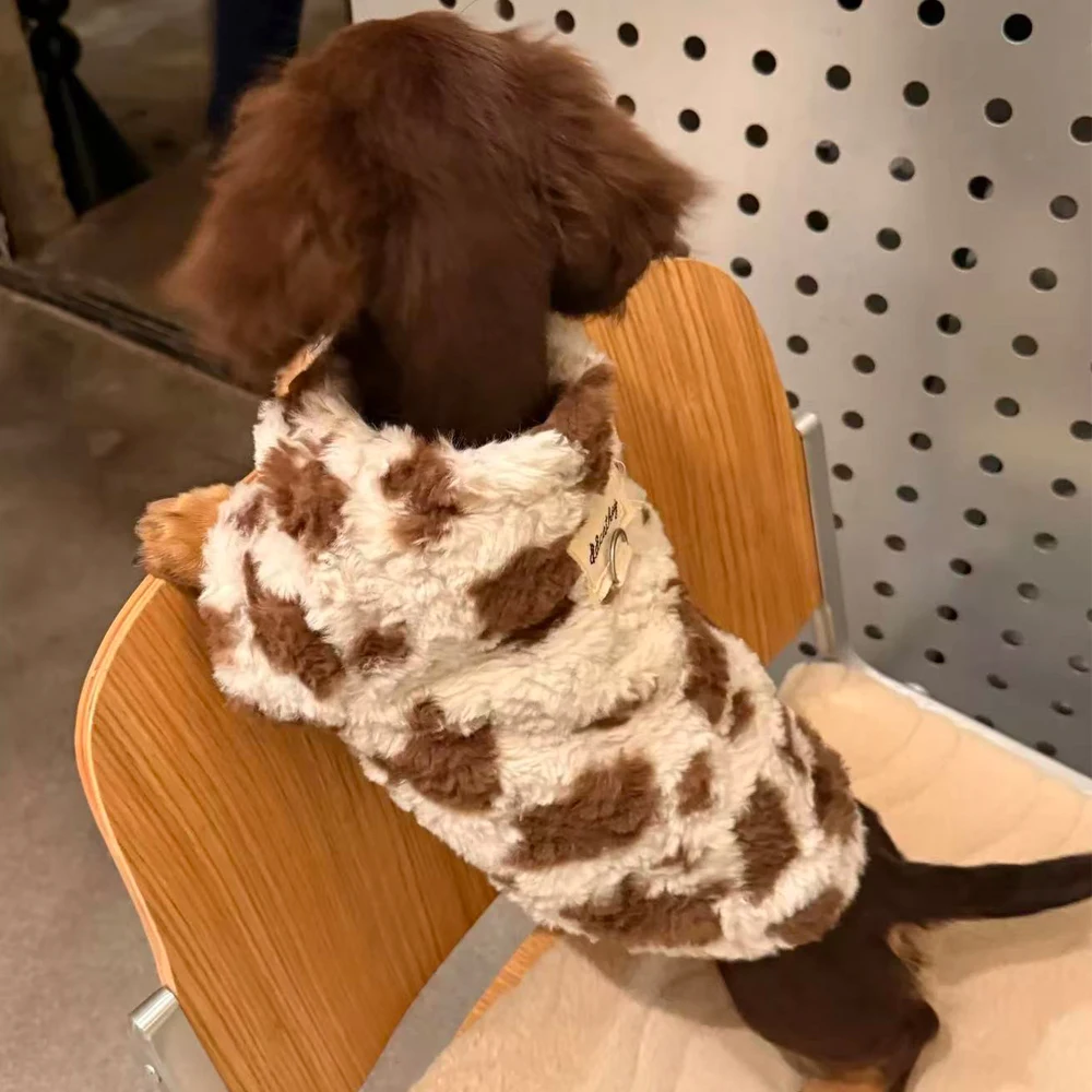 Sudadera para perro salchicha – Abrigo otoño invierno - imagen 5