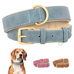 Collar de cuero acolchado para Pitbull y Pug – Ajustable y duradero