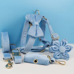 Collar y correa terciopelo azul para perros – Placa identificacióngrabada
