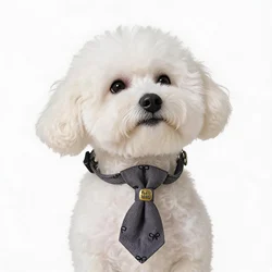 Collar ajustable para gatos y perros con cierre rápido seguro