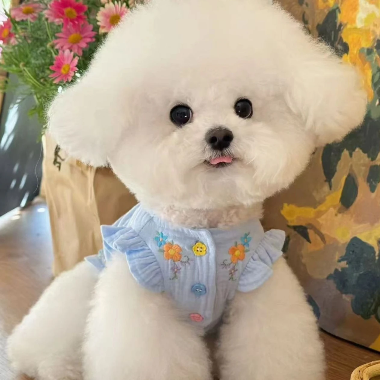 Chaleco bordado de primavera para mascotas, falda de manga voladora de peluche Yorkshire, ropa para cachorros, ropa para perros pequeños - imagen 3