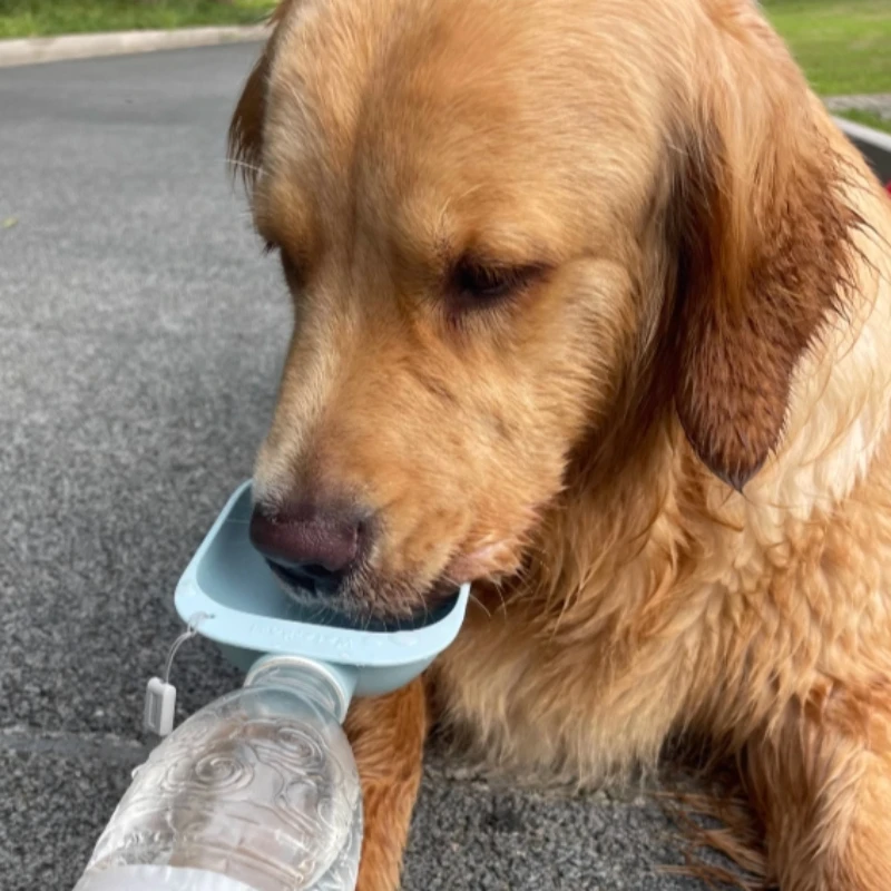 Botella de agua de viaje para perros: dispensador de agua portátil para mascotas con cuenco para uso en exteriores, a prueba de fugas para perros y gatos - imagen 5