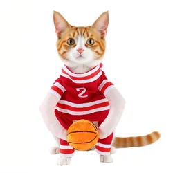 Disfraz de baloncesto para gatos y perros con pelota – Halloween