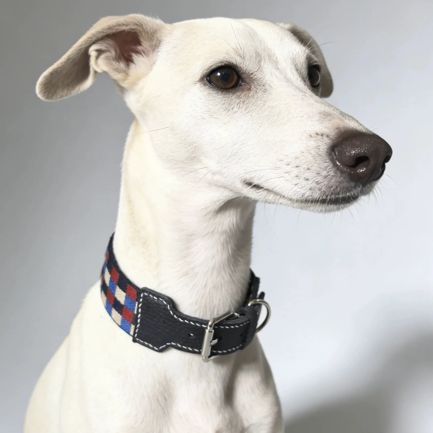 Collar y correa de cuero genuino para perro – Estilo bohemio a cuadros - imagen 2