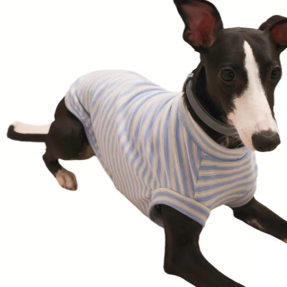 Chaleco de lana para Whippet, Saluki y Galgo Italiano otoño primavera - imagen 2