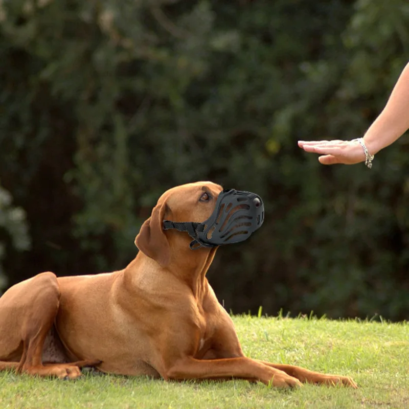 Bozal ajustable de TPE para perro, mascarilla bucal transpirable para perros pequeños, medianos y grandes, bozal antimordeduras para perros, máscara para cachorros, accesorios para perros - imagen 2