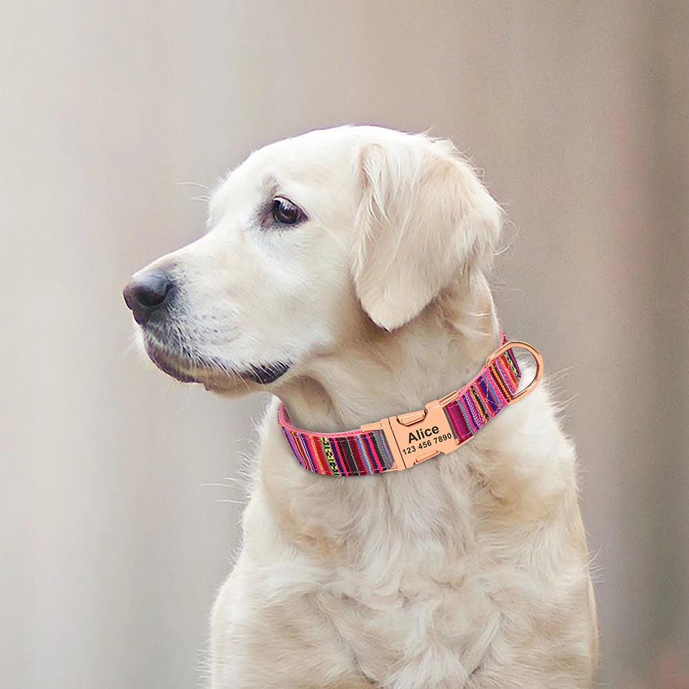Collar de nailon con hebilla colorida para perro, placa de identificación antipérdida ajustable para perros pequeños, medianos y grandes, S-L - imagen 5