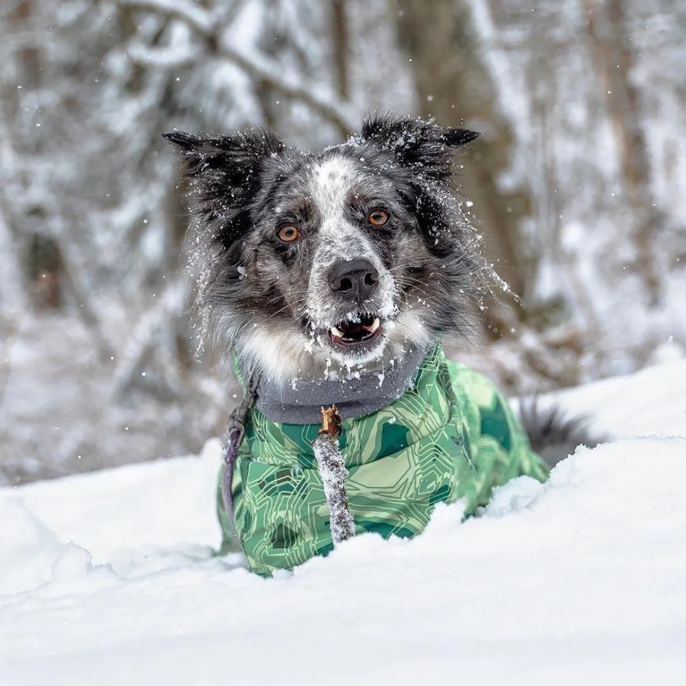 Ropa de invierno para mascotas, tallas medianas y grandes, impermeable, ultraligera, resistente al desgaste, traje de esquí, hermosos productos cálidos para mascotas - imagen 3