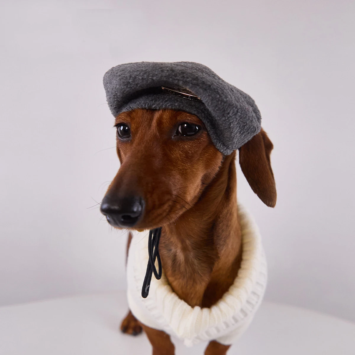 Boina de lana ajustable para perro Wiener – otoño invierno - imagen 3