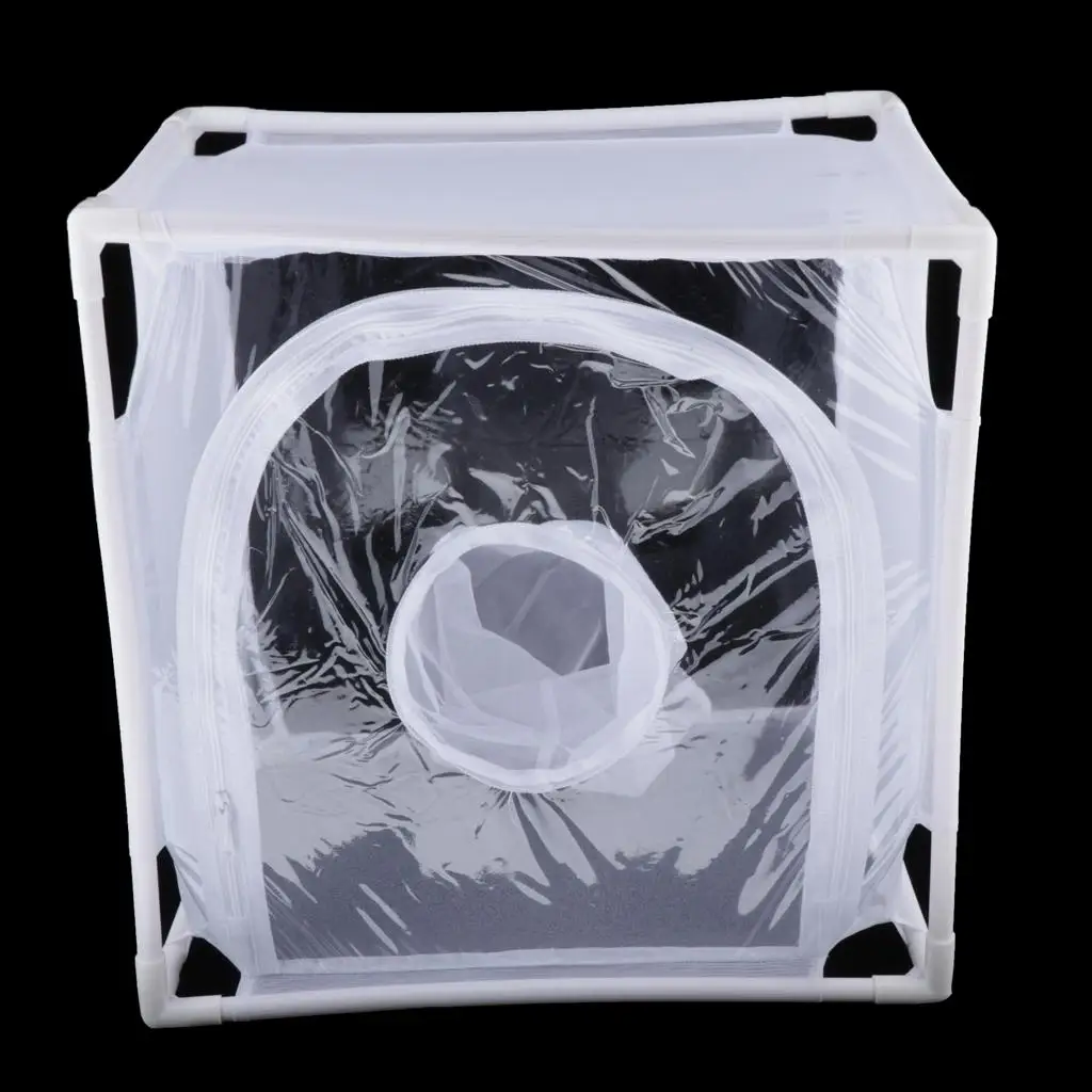 Premium Butterfly Enclosure - Ideal Habitat for Raising Winged Beauties