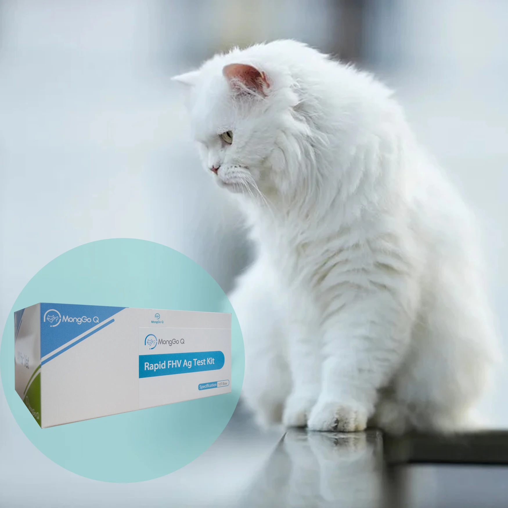 MongGo Q 10-Packed Rapid Feline Herpes FHV Ag Detección de secreciones bucales y nasales Kit de prueba para gatos, - imagen 2