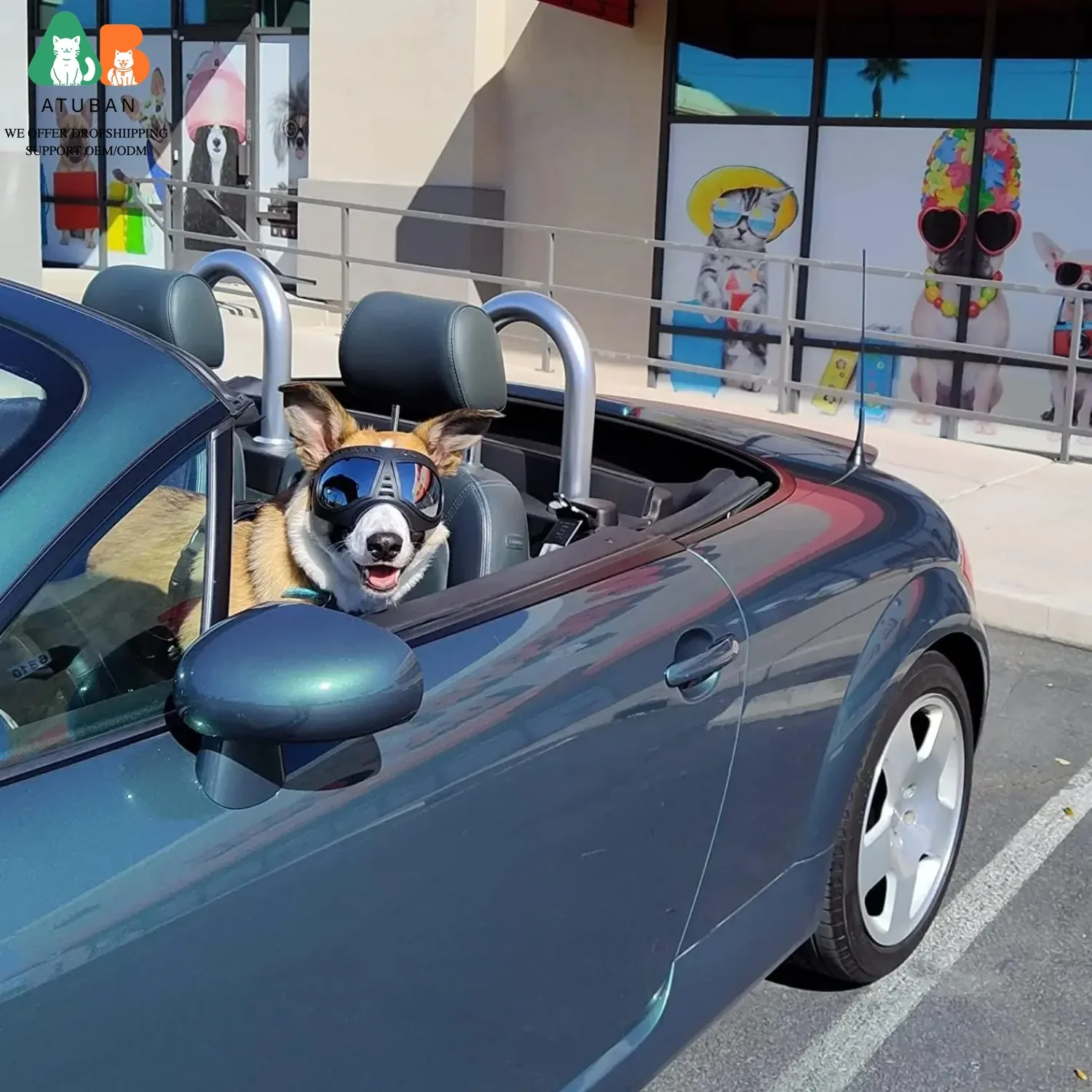 Gafas de sol transparentes Anti-UV para perro, lentes suaves a prueba de viento, antipolvo y antivaho para perros medianos y grandes - imagen 5