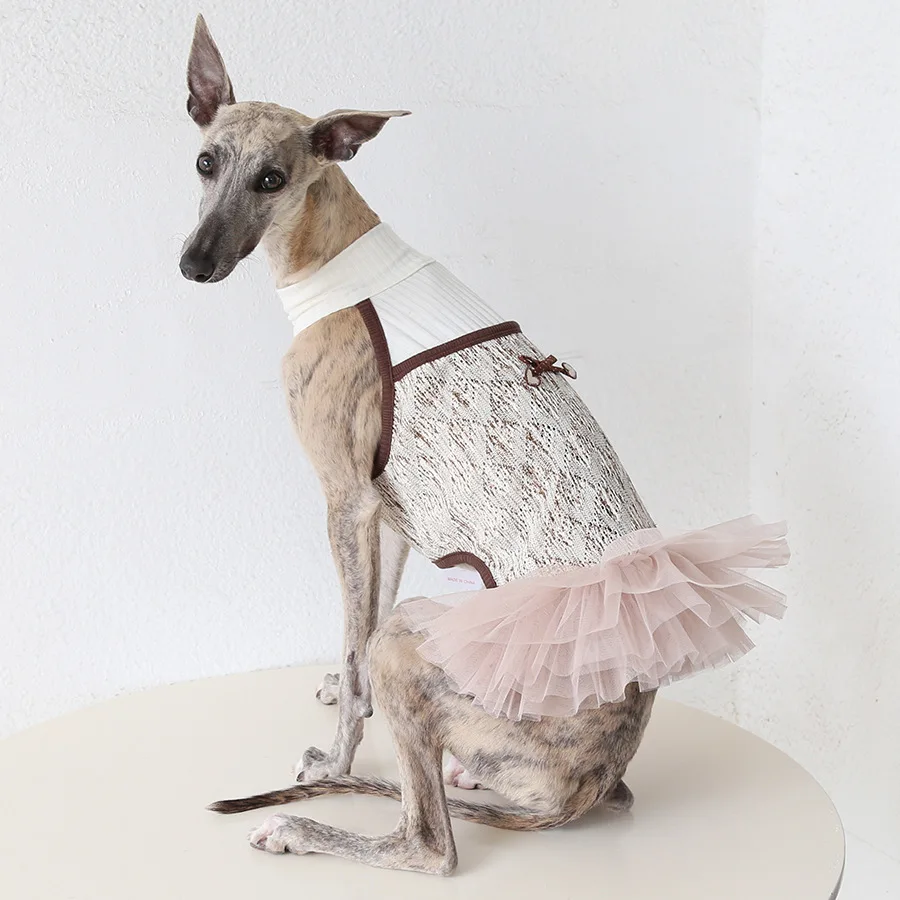 Falda tulle para galgo italiano, whippet y perros medianos y grandes - imagen 5