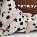 Harness