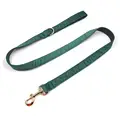 Leash-color 10