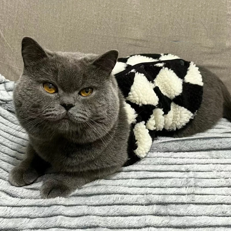 Suéter de gato Sphynx a la moda, cárdigan para gatos, Gotas, ropa cálida de lana para mascotas, chaquetas para perros Garfield Katten, ropa para mascotas - imagen 5