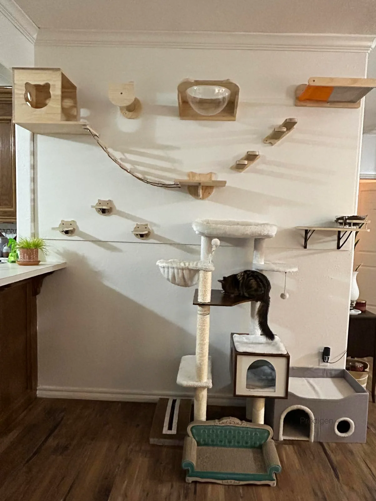 Juego de muebles de madera maciza montados en la pared, marco de escalada para gatos, hamaca, poste rascador, estante con plataforma de salto de Sisal, escalón de escalera - imagen 4