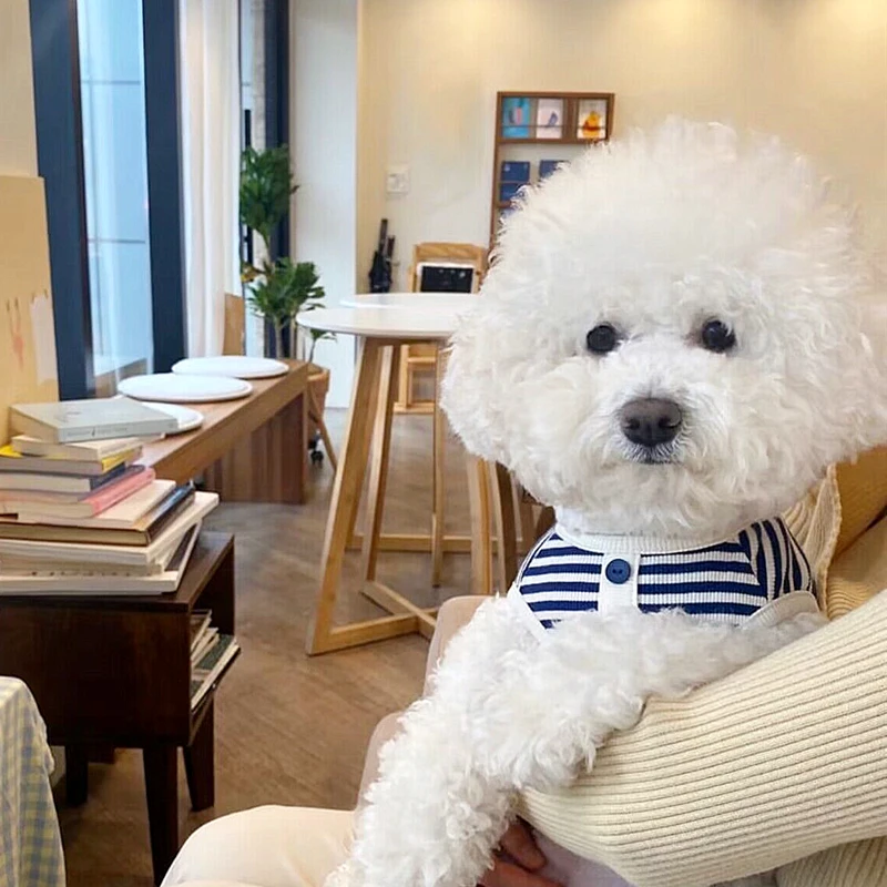 Chaleco fino para perro, chaqueta púrpura para gato, Bichon Teddy, ropa transpirable, ropa de punto a la moda, suministros para mascotas, accesorios para primavera y verano - imagen 3