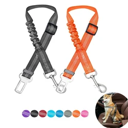 Arnés de seguridad para coche para perro - Reflectante y ajustable