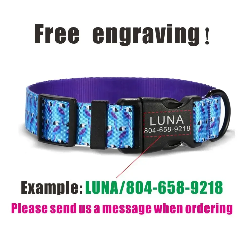 Collar de perro personalizado con grabado gratuito, correa para mascotas a juego, hebilla de contactos personalizados, Collar para mascota de gato loro azul - imagen 4