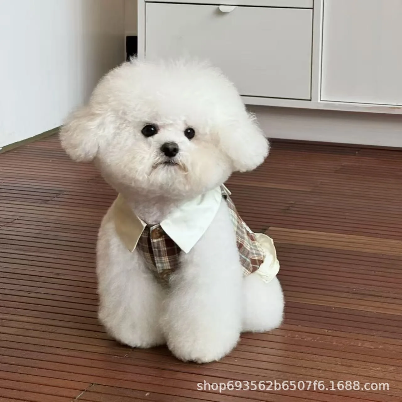 Falda de encaje a cuadros para otoño/invierno, chaleco para gato, vestidos para perros con lazo de peluche para perros pequeños, ropa para cachorros - imagen 4