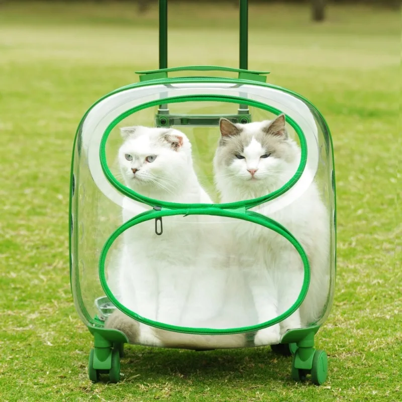 Cubierta de carrito para mascotas de gran capacidad, bolsa de viaje portátil verde transparente, productos para mascotas, transportadores para gatos lavables y ligeros para exteriores - imagen 2