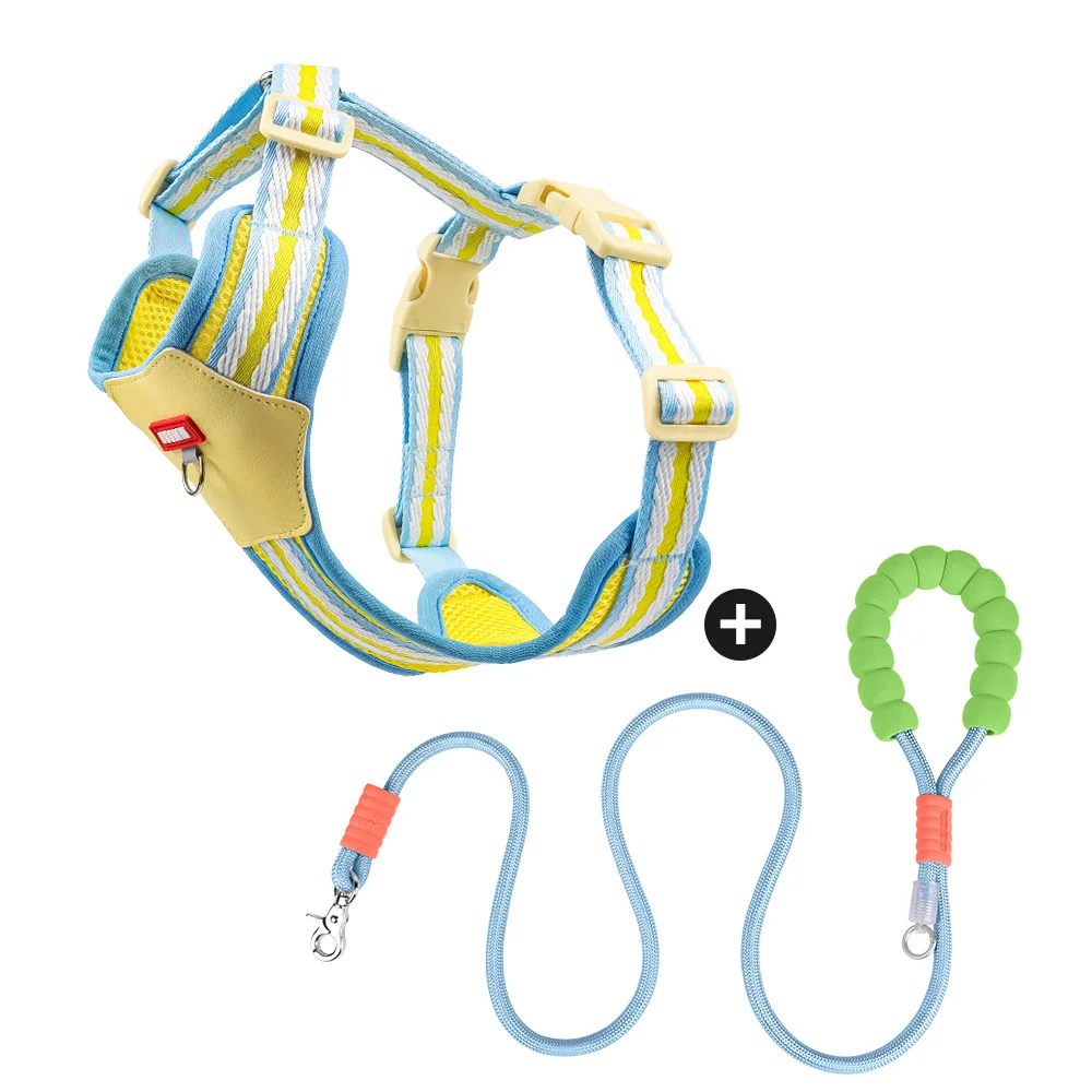 yellow and Leash Set