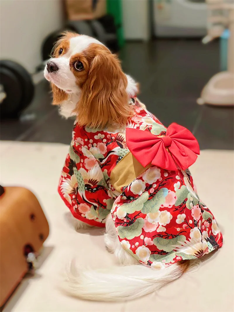 Kimono para perros Shiba Inu y Corgi – ropa primavera verano - imagen 5