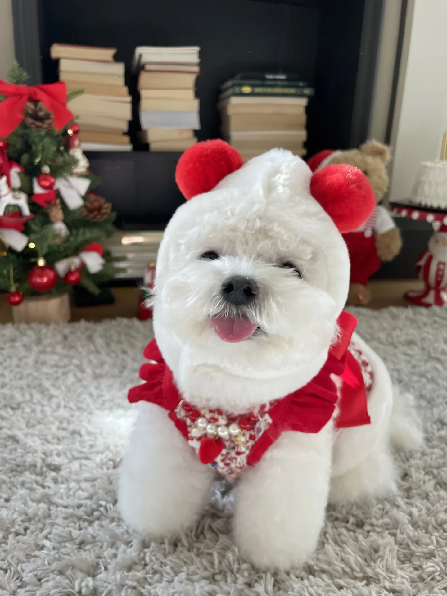 Falda tejida de León INS, traje para perro, ropa para perro pequeño, Navidad, Año Nuevo, suspensorio con orejas de León, disfraz para perro, falda cálida, ropa para mascotas - imagen 3